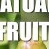 Batuan Fruit HEALTH BENEFITS OF BATUAN BATWAN FRUIT