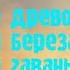 Энергетические каналы Серебряное Древо Рода Серебряная Береза Серебряная Гавань Серебряные Руны