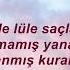 Yaşlı Amca Ve Ben Lyrics