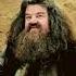 There Really Is No Hogwarts Without Hagrid Harrypotter Hagrid Shortsfeed Viral Fypシ Edit