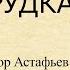 Краткое содержание Белогрудка Астафьев В П Пересказ рассказа за 4 минуты