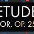 Frédéric Chopin Etude In B Minor Op 25 No 10