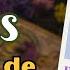 Aries Semanal 11 A 17 De Noviembre Ya Está Ahora Tienes La Oportunidad Brujo Gallego