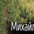 Михайло Коцюбинський Intermezzo 2024 аудіокнига українською