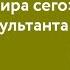 Сильные мира сего Взгляд консультанта