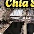 Chú Bảy Thiện Chia Sẻ Hiếu Hạnh Với Ba Mẹ Quá Hay