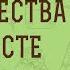 ПРОРОК ИОИЛЬ ПРОРОЧЕСТВА О ХРИСТЕ Дмитрий Георгиевич Добыкин