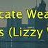 Grimes Lizzy Wizzy Delicate Weapon Lyrics