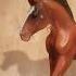 Ashley Look At Me лошадь Horse Equestrian Horses Dressage Schleich Schleichhorses лошади