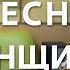 Катя Котеночкина Тимур Ведерников Песня Женщины Самая трогательная песня о войне