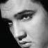 Elvis Presley The Anthology Not Now Music Full Album