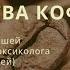 Свойства кофе взгляд токсиколога Алексей Валерьевич Водовозов