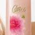 Caress Daily Silk For Caressably Soft Skin