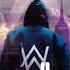 Alan Walker Love Always