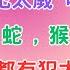 2025 邊個容易衰 你有無依幾隻字 八字犯太歲 八字ABC 109 肥仔輝 八字 八字命理 風水 2025 流年運程 犯太歲 香蕉 拍賣會