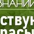 У каких мужчин не растёт борода Лекция антрополога Елены Судариковой