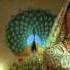 Umrao Jaan Salaam Full Song HD