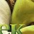 Shrek Forever After Shrek Doesn T Feel Like A Real Ogre Extended Preview