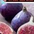 Figs Are Beneficial In Boosting Your Height