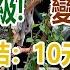 中國最新住房 全民免費 三和大神準備等死 流浪漢大爆發乞丐隨處可見 夜班厰工10元一小時成爲常態