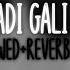 SADI GALI Perfectly Slowed And Reverbed Crazy Soul