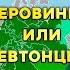 Имперский флаг России Что означают цвета флага России и при чем здесь немцы