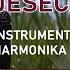 Zvijezda Tjera Mjeseca Instrumental Harmonika Vlada Veselinović