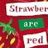 Strawberries Are Red 02 Song