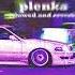 Enclosed Plenka Slowed And Reverb