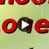 С ДНЕМ РОЖДЕНИЯ МОЯ ВЗРОСЛАЯ ДОЧЬ Красивое поздравление Лучшая видео открытка дочери Happy Birthday