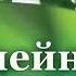 Здоровье Дыхательная гимнастика рыдающее дыхание 28 05 2011 Часть 2 Семейный доктор