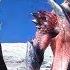 Devil May Cry 5 Bullying Vergil Dante Must Die No Damage SSS Rank PS4 PRO