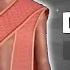 GET THESE ITEMS BEFORE THEY ARE EXPIRED IN DRESS TO IMPRESS Dress To Impress DTI Free Code On Roblox