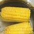 American Corn Boiled Testy Food