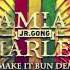 Make It Bun Dem IDestiny Remix Skrillex Ft Damian Marley Original