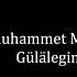 Nurmuhammet Meredow Gülalegim