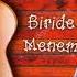 Terane Nurlu Biride Menem Official Audio