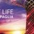 Roberto Cacciapaglia Tree Of Life Full Album 2015