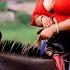 Beautiful Indian Plus Size Women Donkey Riding