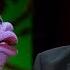 Peanut And Jeff Fa Fa Dun Ham Spark Of Insanity JEFF DUNHAM