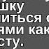 Богатый парень ради шутки пригласил уличную девушку познакомиться с родителями как невесту