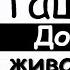 Марьям Ташаева ЖИВАЯ ЛЕГЕНДА Песня Доттаг1а ЖИВОЙ ГОЛОС NEW 2020г