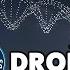 The BIGGEST Drone Display Guinness World Records