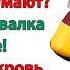 У тебя 2 квартиры а у сына ноль Что люди подумают Что он приживалка при жене истерила свекровь