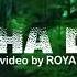 Nyasha David Mariana Lyrics Video By Royal Visual Arts