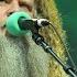 Jamey Johnson Lead Me Home Live At Farm Aid 2021