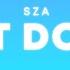 SZA What Do I Do Lyrics