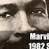 Marvin Gaye Sexual Healing 1982 Soul Purrfection Version