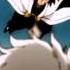 Soi Fon AMV