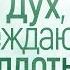 Жизнь в Духе 1 Дух побеждающий плоть Алексей Коломийцев